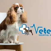 Tu mascota en la Onda VETERPET Tu mascota en la Onda VETERPET