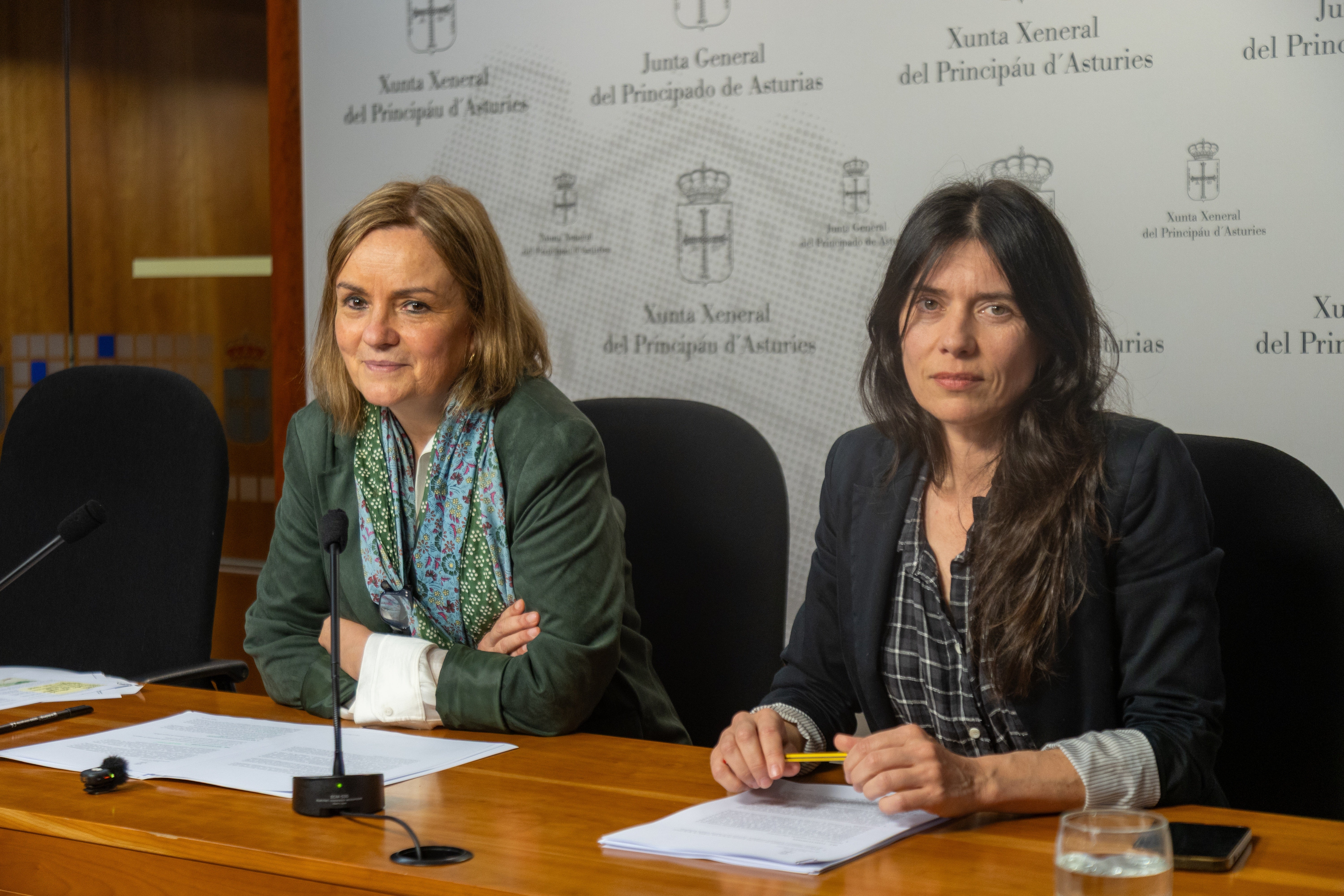 La propuesta de dictamen señala como responsables políticos a Nieves Roqueñí y Enrique Fernández La propuesta de dictamen señala como responsables políticos a Nieves Roqueñí y Enrique Fernández