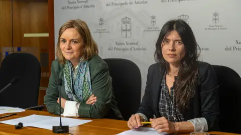 La propuesta de dictamen señala como responsables políticos a Nieves Roqueñí y Enrique Fernández La propuesta de dictamen señala como responsables políticos a Nieves Roqueñí y Enrique Fernández