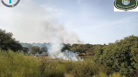 Controlado el incendio forestal declarado en Calamonte Controlado el incendio forestal declarado en Calamonte