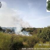Controlado el incendio forestal declarado en Calamonte