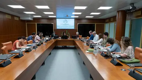 Elena Ayarza ha comparecido ante la Comisión de Juventud Elena Ayarza ha comparecido ante la Comisión de Juventud