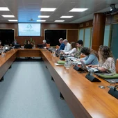 Elena Ayarza ha comparecido ante la Comisión de Juventud Elena Ayarza ha comparecido ante la Comisión de Juventud