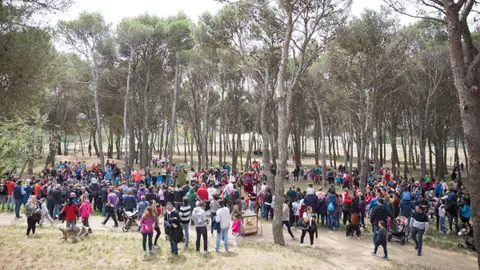 El Cerro de San Jorge se prepara para recibir a miles de oscenses este 23 de abril El Cerro de San Jorge se prepara para recibir a miles de oscenses este 23 de abril