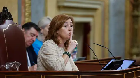 La presidenta del Congreso, Francina Armengol, pide silencio durante la sesión de control al Gobierno. La presidenta del Congreso, Francina Armengol, pide silencio durante la sesión de control al Gobierno.
