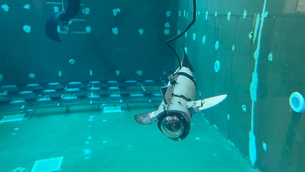 El CIRTESU de la UJI crea un prototipo experimental de pez robótico modular para su uso en acuicultura que reduce el estrés de los peces