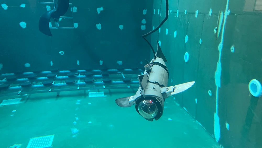 El CIRTESU de la UJI crea un prototipo experimental de pez robótico modular para su uso en acuicultura que reduce el estrés de los peces El CIRTESU de la UJI crea un prototipo experimental de pez robótico modular para su uso en acuicultura que reduce el estrés de los peces
