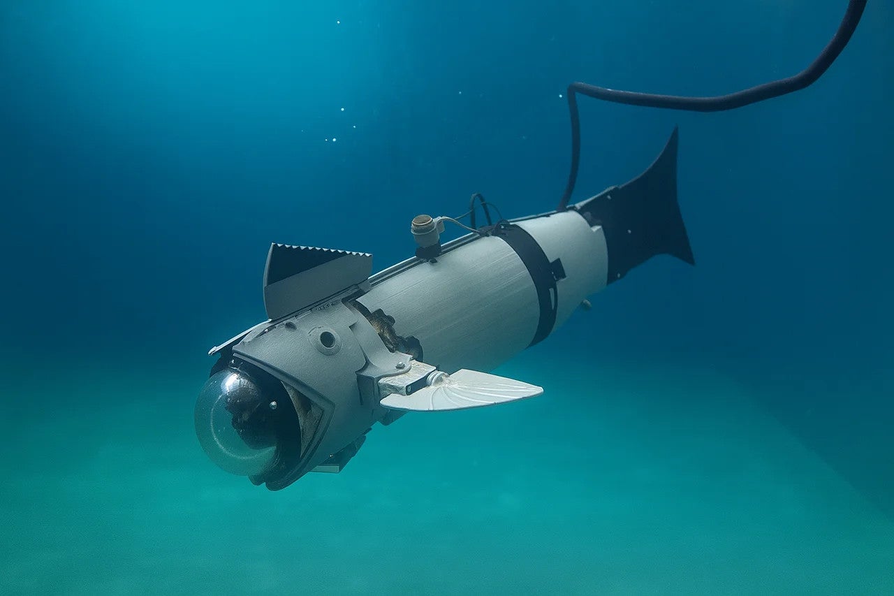 La UJI desarrolla un pez robótico modular para acuicultura que reduce el estrés de los peces y mejora la monitorización submarina La UJI desarrolla un pez robótico modular para acuicultura que reduce el estrés de los peces y mejora la monitorización submarina