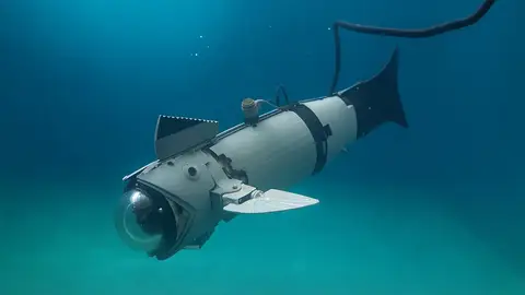 La UJI desarrolla un pez robótico modular para acuicultura que reduce el estrés de los peces y mejora la monitorización submarina La UJI desarrolla un pez robótico modular para acuicultura que reduce el estrés de los peces y mejora la monitorización submarina