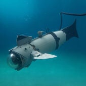 La UJI desarrolla un pez robótico modular para acuicultura que reduce el estrés de los peces y mejora la monitorización submarina