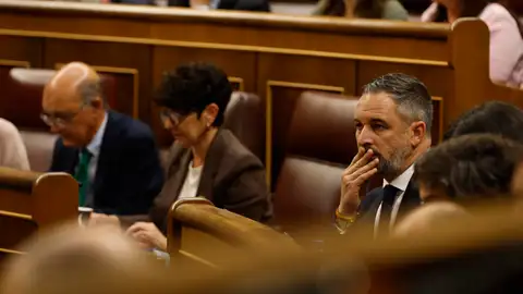 El líder de Vox, Santiago Abascal, asiste a la sesión de control al Gobierno que se celebra este miércoles en el Congreso El líder de Vox, Santiago Abascal, asiste a la sesión de control al Gobierno que se celebra este miércoles en el Congreso