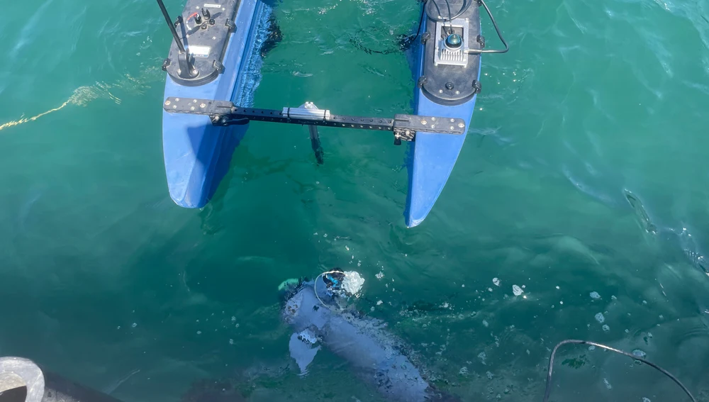 El CIRTESU de la UJI crea un prototipo experimental de pez robótico modular para su uso en acuicultura que reduce el estrés de los peces El CIRTESU de la UJI crea un prototipo experimental de pez robótico modular para su uso en acuicultura que reduce el estrés de los peces