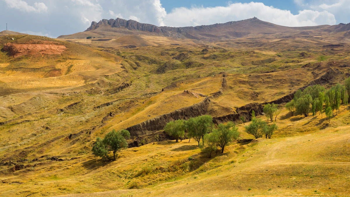 Novedades sobre el Arca de Noé y el Arca de la Alianza