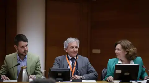 El comisionado de la Generalitat para la Recuperación, Raúl Mérida, comparece en la Comisión de Medio Ambiente de Les Corts - El comisionado de la Generalitat para la Recuperación, Raúl Mérida, comparece en la Comisión de Medio Ambiente de Les Corts -