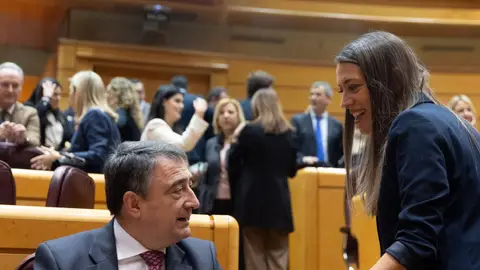 El portavoz del PNV en el Congreso, Aitor Esteban y la portavoz de Junts en el Congreso, Miriam Nogueras El portavoz del PNV en el Congreso, Aitor Esteban y la portavoz de Junts en el Congreso, Miriam Nogueras