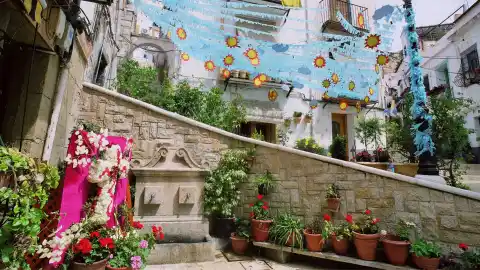 Cruces de mayo Cruces de mayo