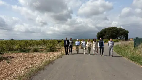 Castellón impulsa el relevo generacional en el campo con 158 nuevos agricultores Castellón impulsa el relevo generacional en el campo con 158 nuevos agricultores