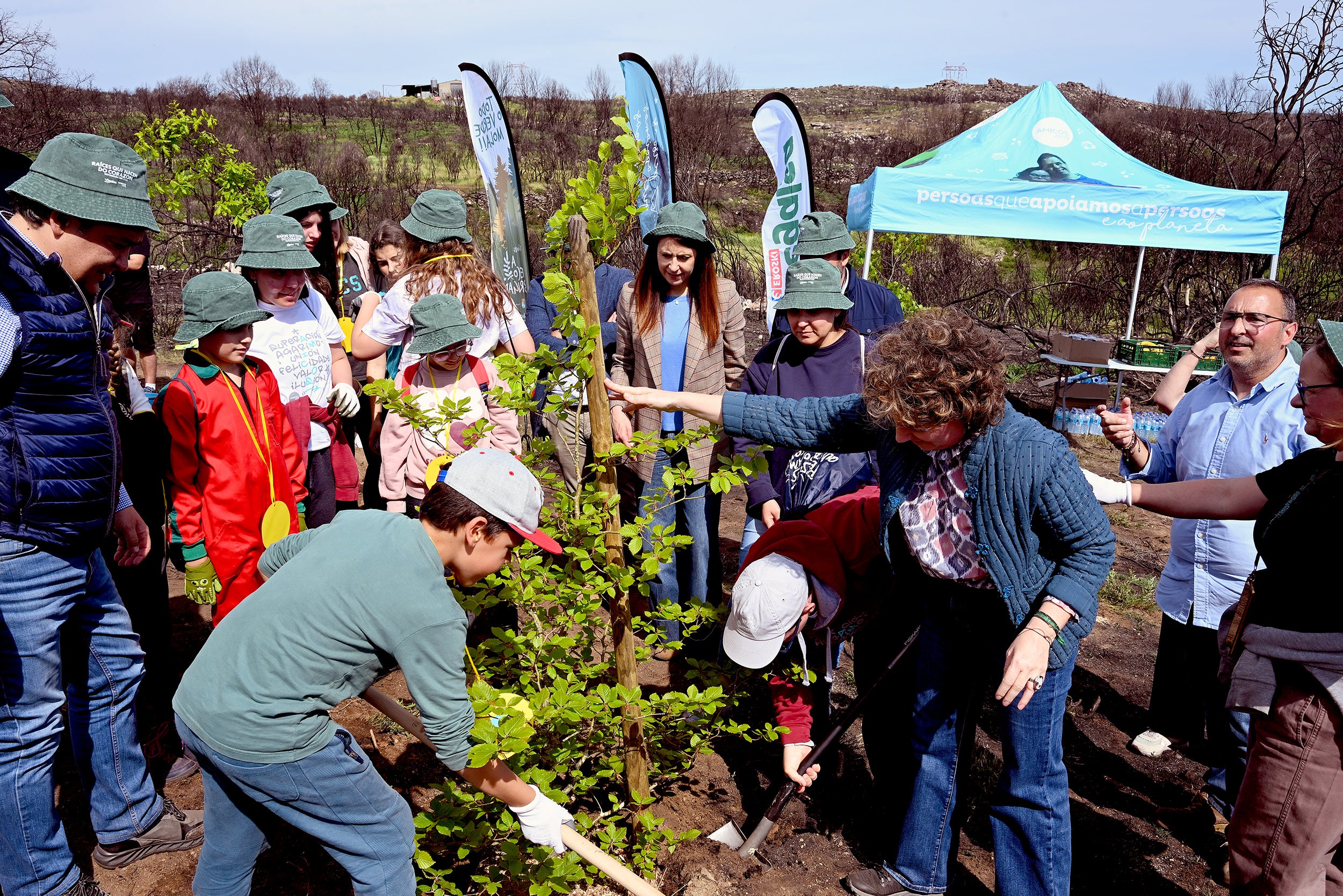 Reforestación no monte da Caridade de Monterrei na que formaron parte varios centros educativos Reforestación no monte da Caridade de Monterrei na que formaron parte varios centros educativos