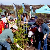 Reforestación no monte da Caridade de Monterrei na que formaron parte varios centros educativos Reforestación no monte da Caridade de Monterrei na que formaron parte varios centros educativos