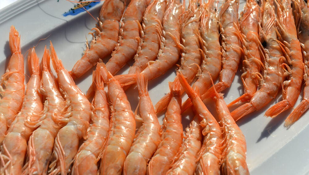 Plato de gambas de Huelva.