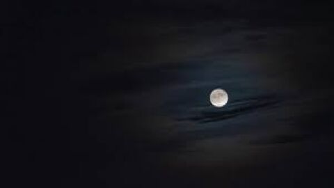 Microluna