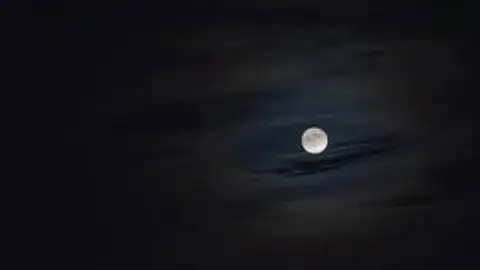 Microluna Microluna