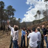 Medio Rural avanza nos traballos de retirada de medeira queimada 