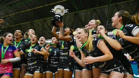 El Fundación Cajasol Esquimo de Dos Hermanas se ha proclamado este domingo campeón de la Superliga femenina de voleibol al imponerse al Heidelberg Volkswagen por 3-2 en el pabellón nazareno de Los Montecillos. El Fundación Cajasol Esquimo de Dos Hermanas se ha proclamado este domingo campeón de la Superliga femenina de voleibol al imponerse al Heidelberg Volkswagen por 3-2 en el pabellón nazareno de Los Montecillos.