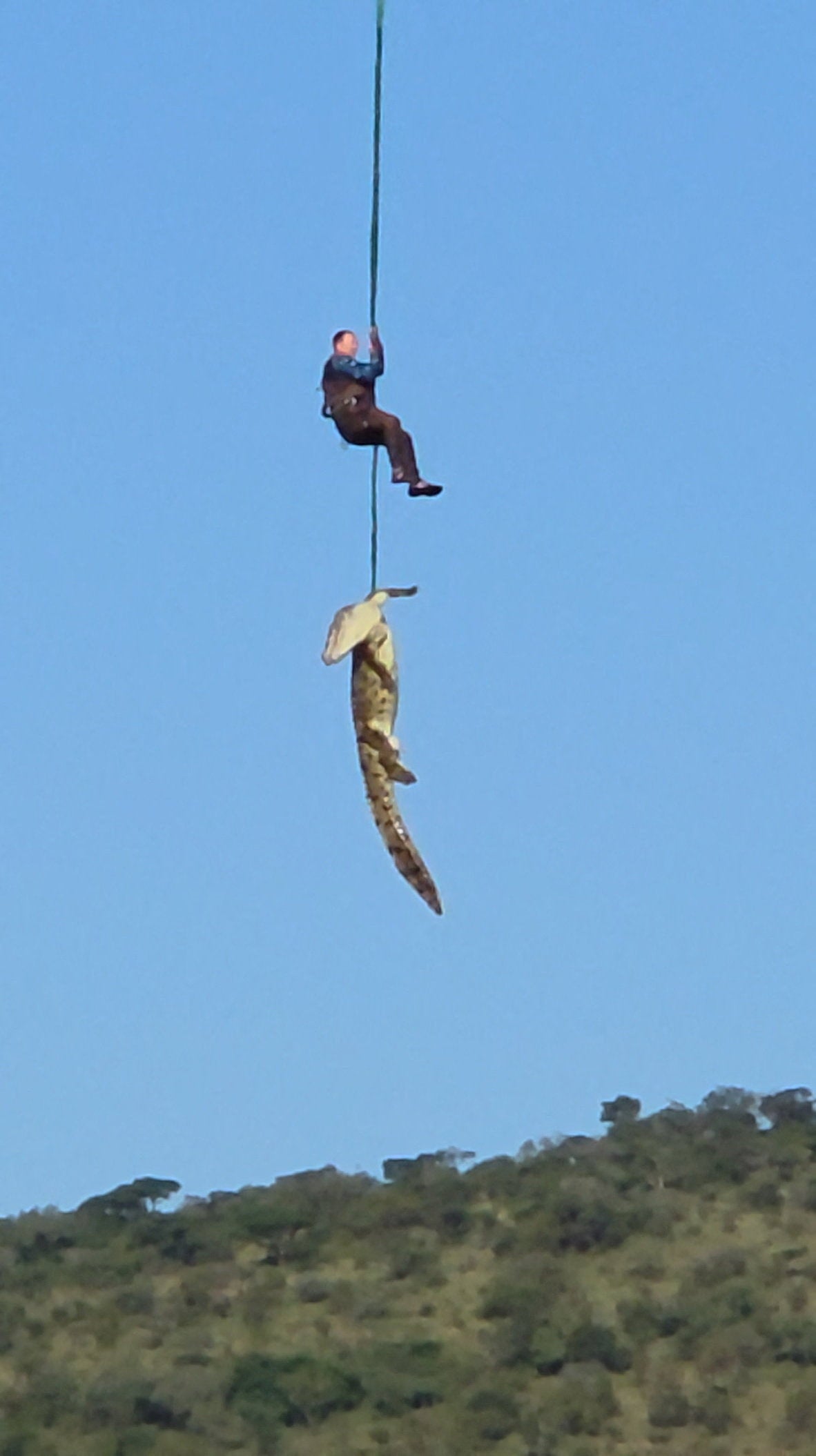 El cocodrilo atado y rescatado por el policía en helicóptero El cocodrilo atado y rescatado por el policía en helicóptero