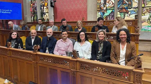 El PSIB denuncia al Consell de Mallorca El PSIB denuncia al Consell de Mallorca