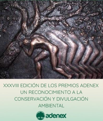 La Casa de la Cultura de Don Benito acogerá la entrega de los premios ADENEX en su edición XXXVIII el 6 de junio La Casa de la Cultura de Don Benito acogerá la entrega de los premios ADENEX en su edición XXXVIII el 6 de junio