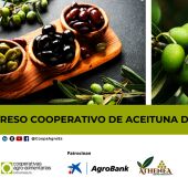 El sector cooperativo de aceituna analiza en Almendralejo el impacto de la nueva política europea y la apertura a nuevos mercados