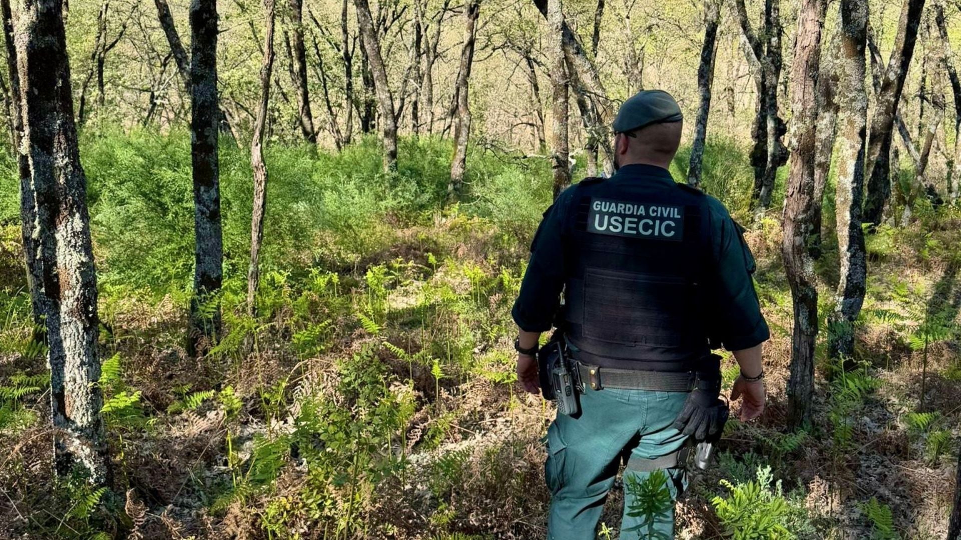 Nueva batida este fin de semana en Jarandilla de la Vera intentará localizar a José Antonio Asensio Nueva batida este fin de semana en Jarandilla de la Vera intentará localizar a José Antonio Asensio