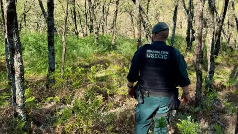 Nueva batida este fin de semana en Jarandilla de la Vera intentará localizar a José Antonio Asensio Nueva batida este fin de semana en Jarandilla de la Vera intentará localizar a José Antonio Asensio