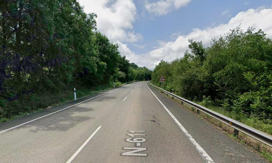 Una manada de 14 jabalíes muere atropellada por dos coches en una carretera de Cantabria Una manada de 14 jabalíes muere atropellada por dos coches en una carretera de Cantabria