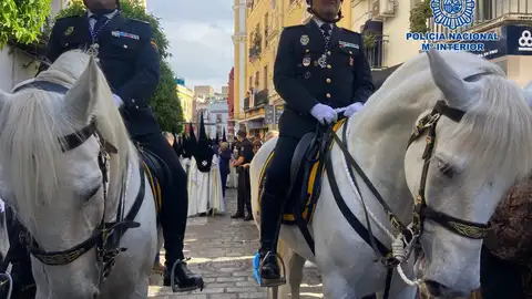 FIAGA 2026 contará con una exhibición de la Unidad Especial de Caballería de la Policía Nacional FIAGA 2026 contará con una exhibición de la Unidad Especial de Caballería de la Policía Nacional