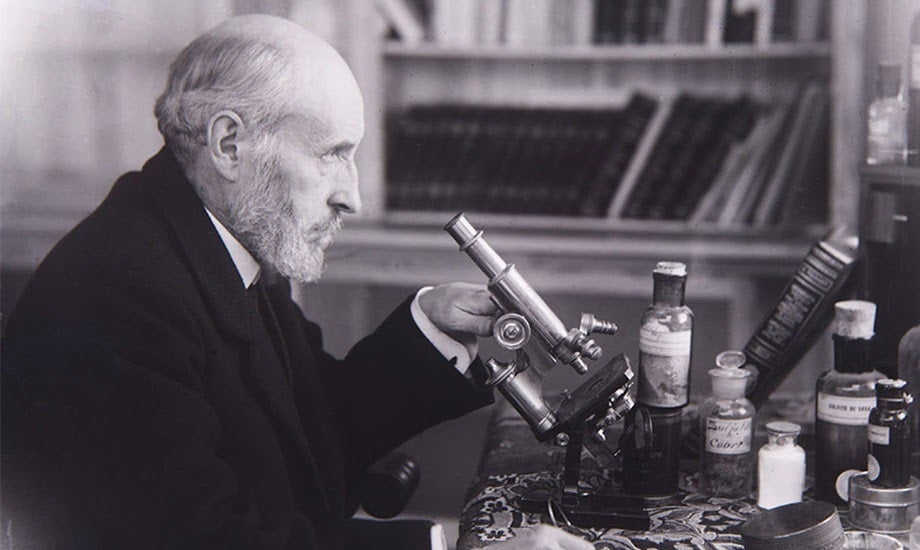 La Cultureta 12x33: Un dibujante llamado Santiago Ramón y Cajal La Cultureta 12x33: Un dibujante llamado Santiago Ramón y Cajal