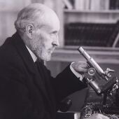 Santiago Ramón y Cajal