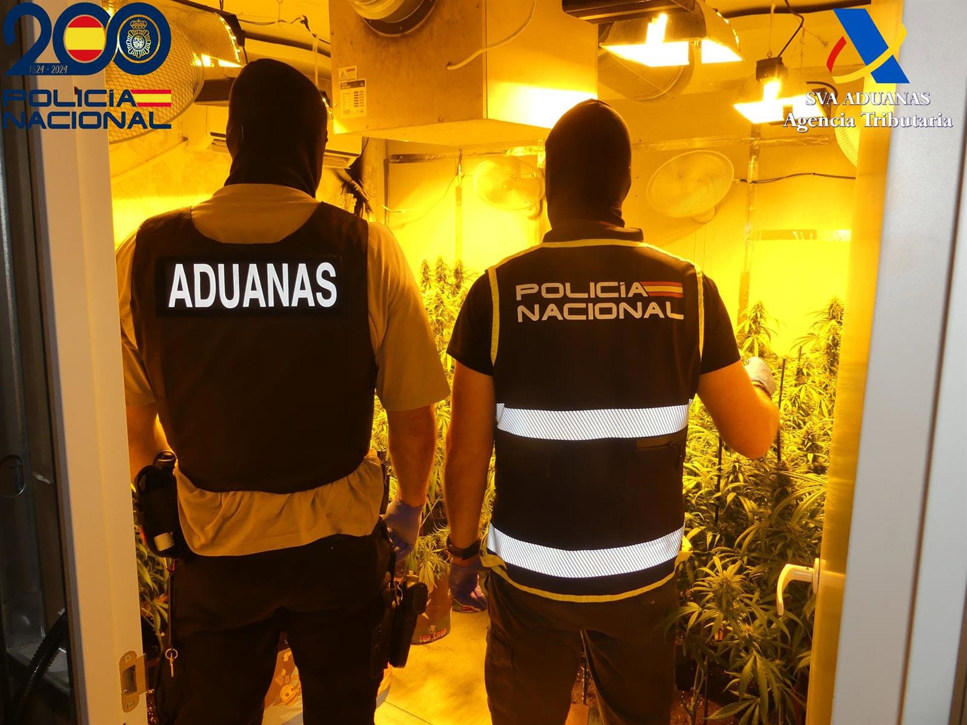 Cuatro detenidos tras la desmantelación de seis cultivos 'indoor' de marihuana en Dos Hermanas Cuatro detenidos tras la desmantelación de seis cultivos 'indoor' de marihuana en Dos Hermanas