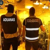 Cuatro detenidos tras la desmantelación de seis cultivos 'indoor' de marihuana en Dos Hermanas