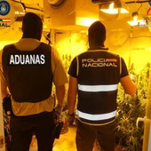 Cuatro detenidos tras la desmantelación de seis cultivos 'indoor' de marihuana en Dos Hermanas Cuatro detenidos tras la desmantelación de seis cultivos 'indoor' de marihuana en Dos Hermanas