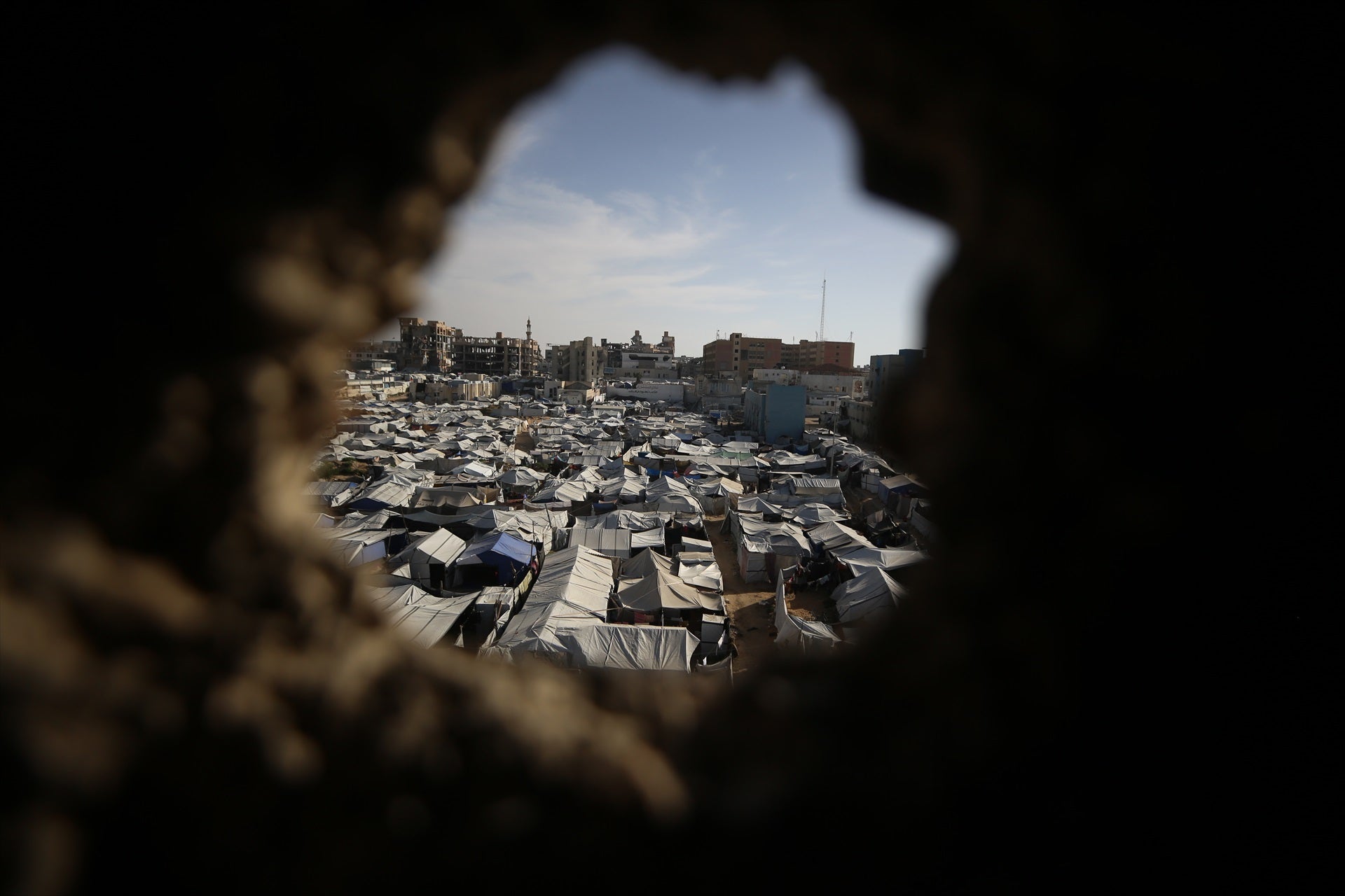 Plaga de ratas en Gaza: más de 17.000 infecciones en 2026 y una "nueva normalidad" que alarma a las ONG Plaga de ratas en Gaza: más de 17.000 infecciones en 2026 y una "nueva normalidad" que alarma a las ONG