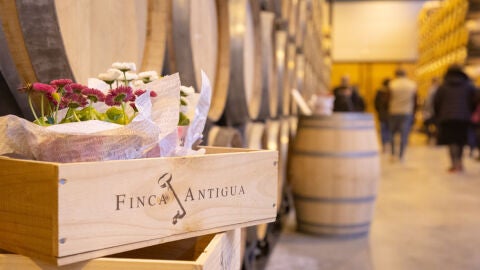 Finca Antigua