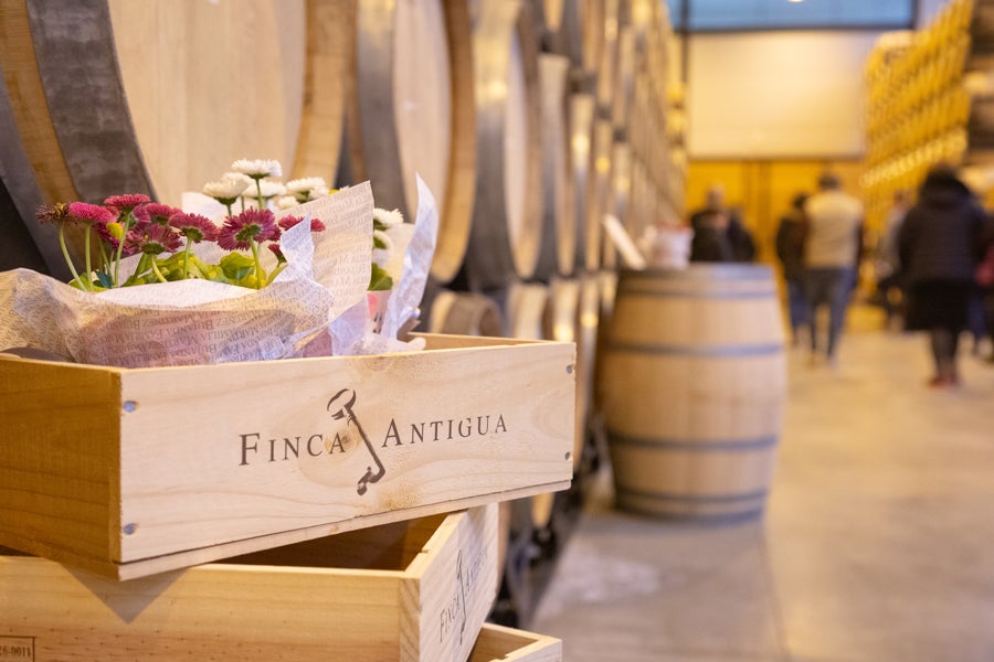 Finca Antigua apuesta por el enoturismo experiencial con talleres florales y turismo astronómico – Más de uno Cuenca