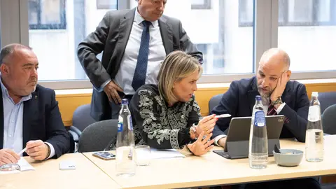 La Diputación de Castellón exige a la UE revisar la regulación de emisiones para proteger al sector cerámico La Diputación de Castellón exige a la UE revisar la regulación de emisiones para proteger al sector cerámico