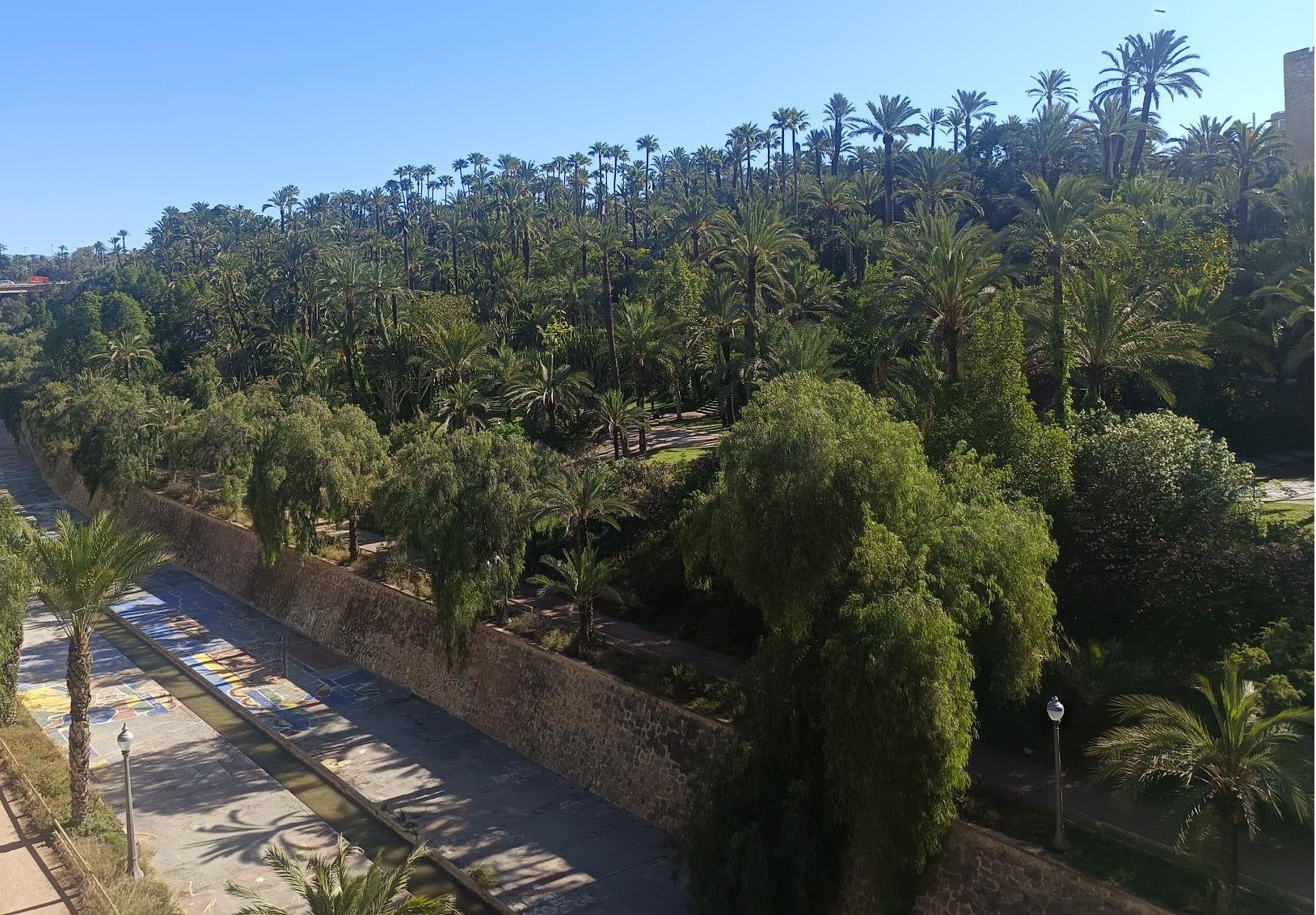 El Ayuntamiento de Elche avanza en el desarrollo del Plan de Uso y Gestión del Palmeral y confía en activarlo después del verano El Ayuntamiento de Elche avanza en el desarrollo del Plan de Uso y Gestión del Palmeral y confía en activarlo después del verano