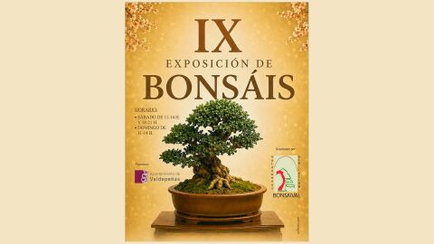 IX Exposici&oacute;n de Bons&aacute;is