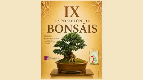 IX Exposición de Bonsáis IX Exposición de Bonsáis