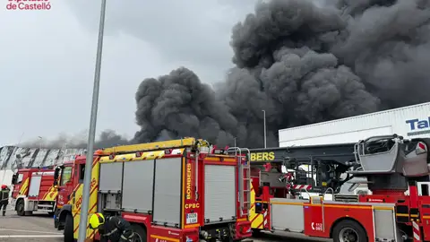 Un incendio en una empresa de almendras en La Vall d’Alba obliga a movilizar un amplio operativo de bomberos Un incendio en una empresa de almendras en La Vall d’Alba obliga a movilizar un amplio operativo de bomberos