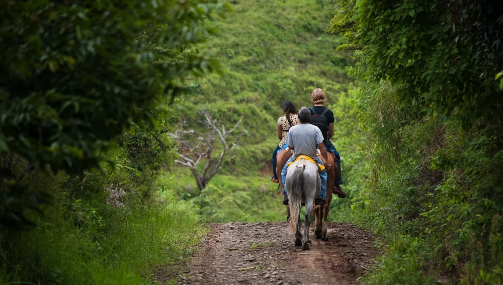 Turismo activo en caballo por Cazorla (Jaén). Turismo activo en caballo por Cazorla (Jaén).